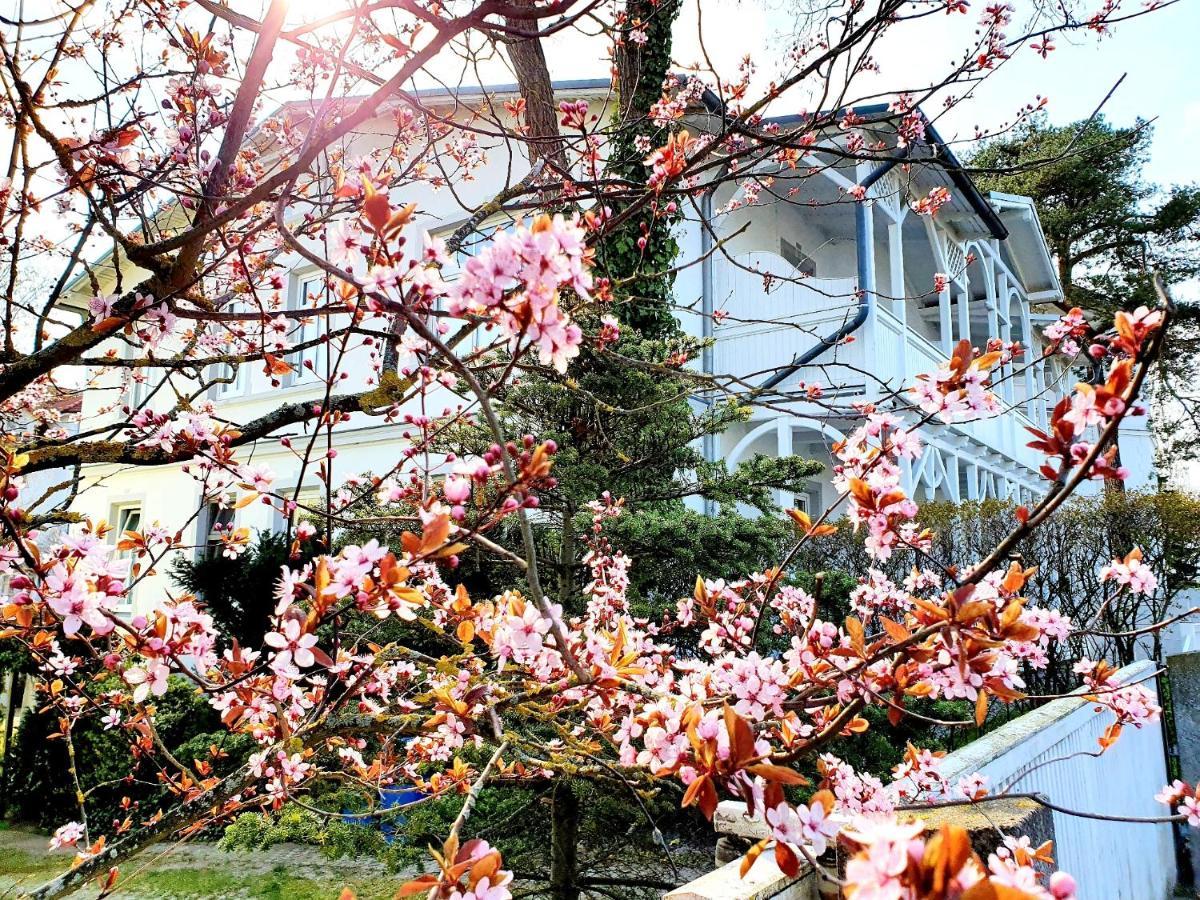 Villa Asta Binz Bagian luar foto