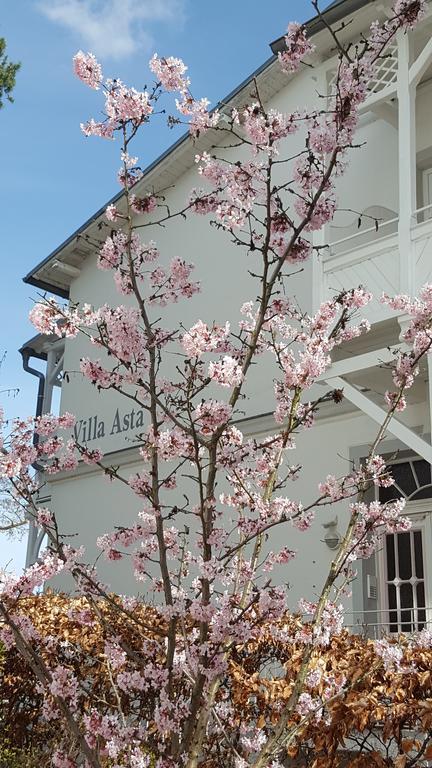 Villa Asta Binz Bagian luar foto